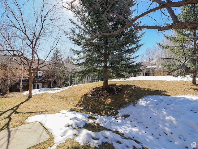 8004 Mustang Loop Rd, Park City, UT 84098 - view of yard covered in snow
