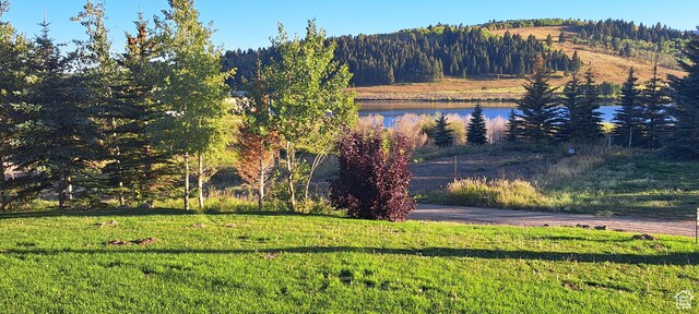 5085 Trumpeter, Island Park, ID 83429 - view of water feature with a view of trees