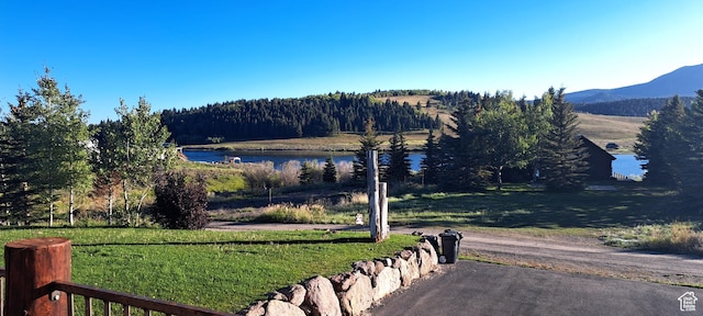 5085 Trumpeter, Island Park, ID 83429 - water view with a mountain view and a forest view