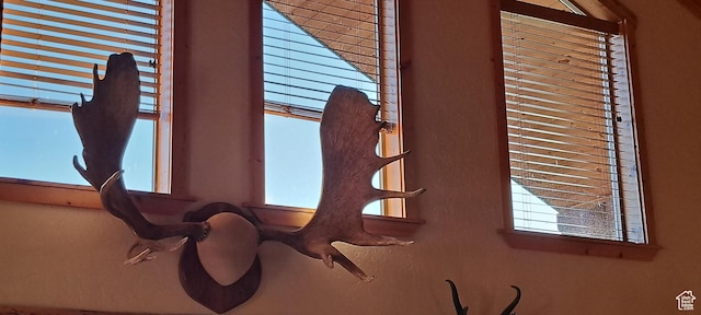 5085 Trumpeter, Island Park, ID 83429 - view of room details