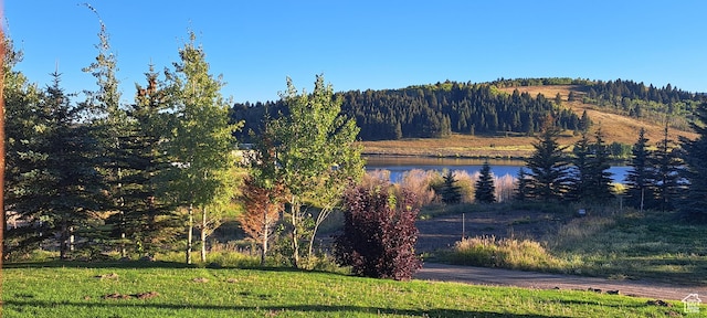 5085 Trumpeter, Island Park, ID 83429 - view of water feature with a wooded view