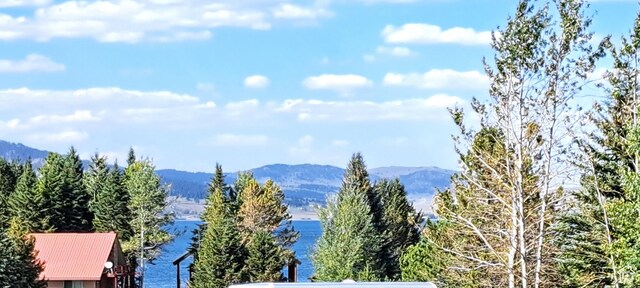 5085 Trumpeter, Island Park, ID 83429 - mountain view