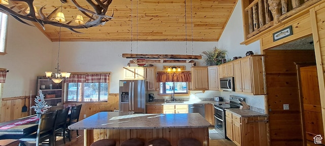 5085 Trumpeter, Island Park, ID 83429 - kitchen with a sink, stainless steel appliances, wooden ceiling, and wainscoting
