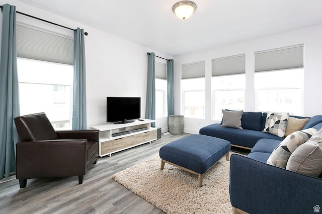 living room featuring baseboards and wood finished floors