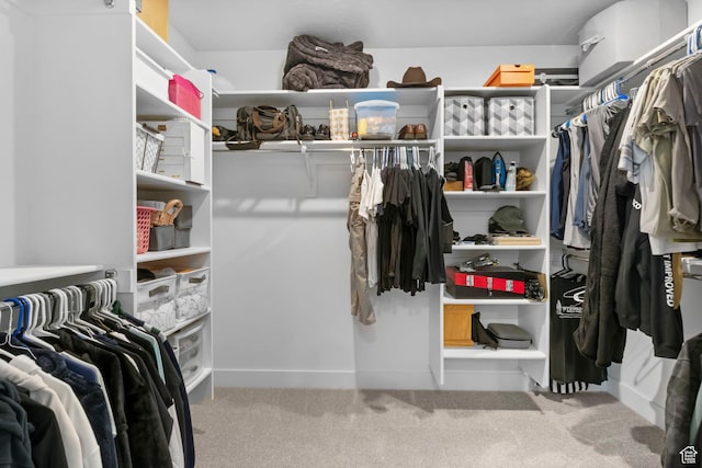 7382 W Butter Hollow Cir, Herriman, UT 84096 - walk in closet with carpet floors