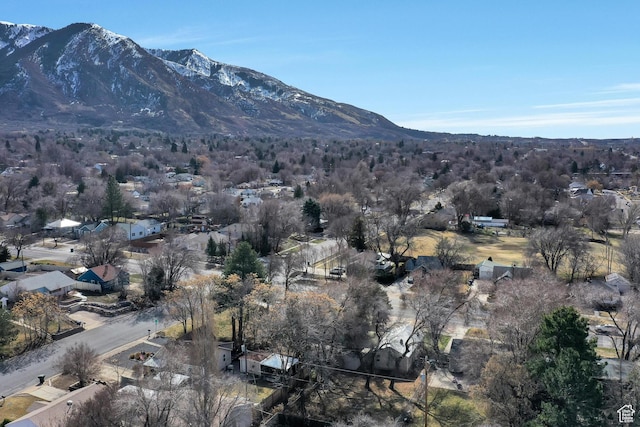 1278 E 22nd St S, Ogden, UT 84401 - mountain view