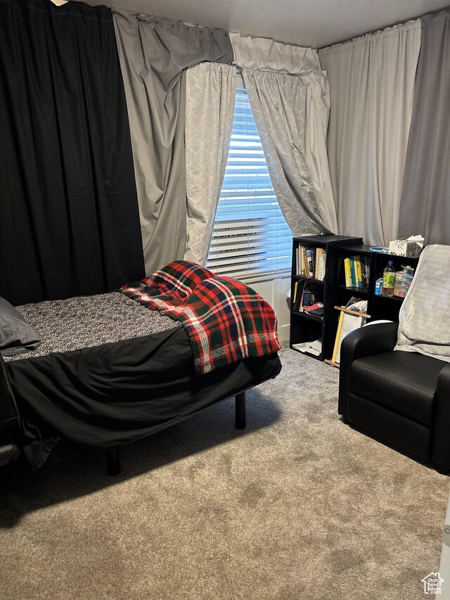 bedroom with carpet