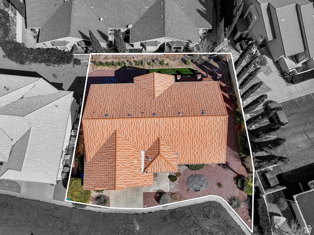 drone / aerial view