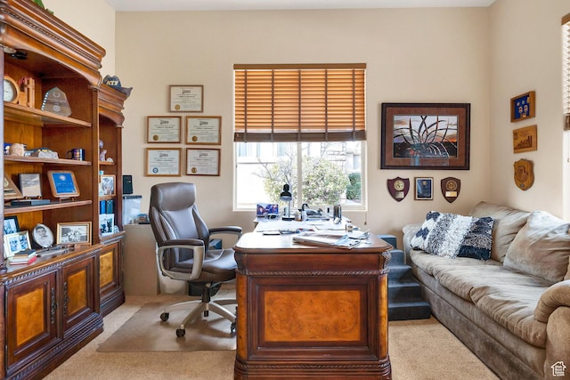view of carpeted office space