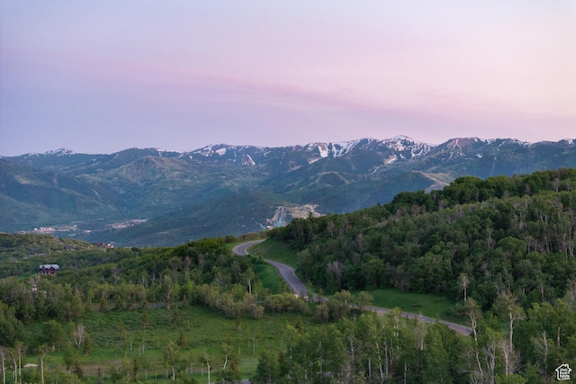 9774 N Red Hawk Trl, Park City, UT 84098 - view of mountain backdrop with a heavily wooded area
