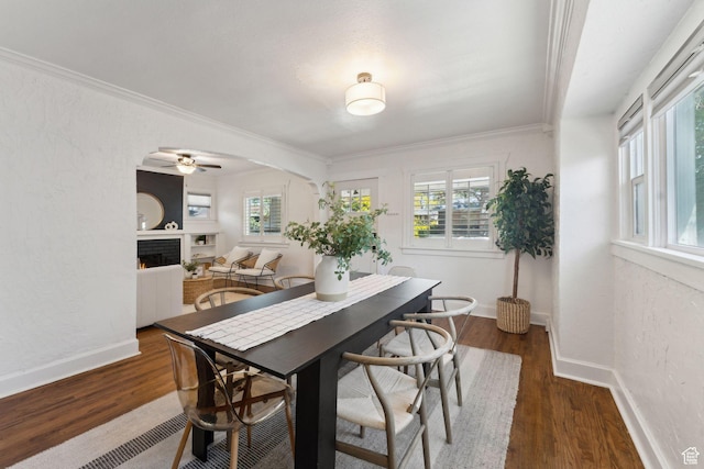 dining area with plenty of natural light, ornamental molding, wood finished floors, and a lit fireplace