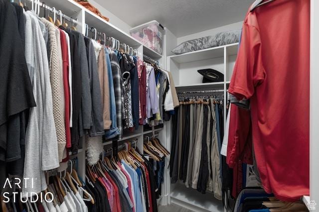 2211 W Parkview Dr, Syracuse, UT 84075 - view of walk in closet