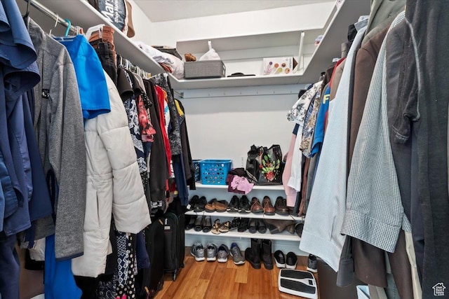 walk in closet featuring wood finished floors