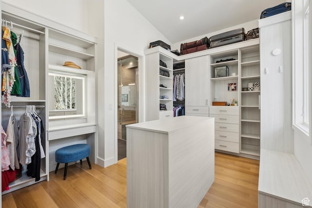 3599 Daybreaker Dr, Park City, UT 84098 - spacious closet featuring vaulted ceiling and light wood-style floors