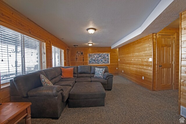 3186 S Sweetwater Pkwy, Garden City, UT 84028 - carpeted living room featuring wooden walls and a textured ceiling