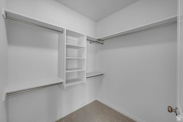 409 N Country Ln Unit 3, St George, UT 84770 - walk in closet with carpet flooring