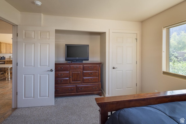 3686 S Spanish Valley Dr Unit U-3, Moab, UT 84532 - bedroom featuring multiple windows and carpet