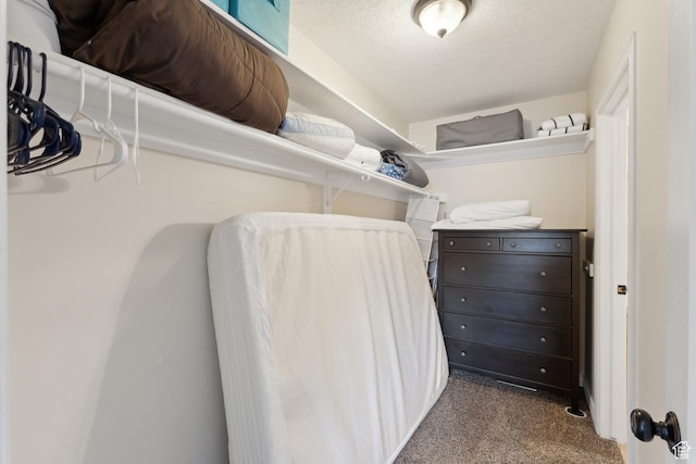 7035 N 2200 W Unit 3W, Park City, UT 84098 - spacious closet featuring dark carpet