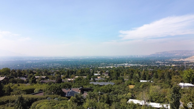 4127 E Mathews Way S, Salt Lake City, UT 84124 - birds eye view of property