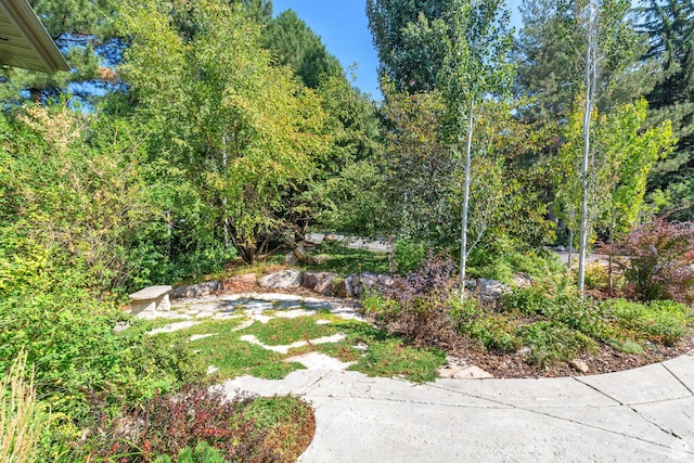 4127 E Mathews Way S, Salt Lake City, UT 84124 - view of yard