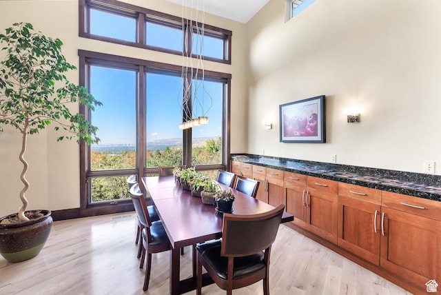 4127 E Mathews Way S, Salt Lake City, UT 84124 - dining room with a towering ceiling and light wood-style floors