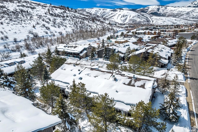 2305 Sidewinder Dr Unit 906, Park City, UT 84060 - photo 24