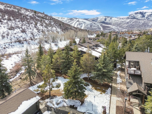 2305 Sidewinder Dr Unit 906, Park City, UT 84060 - photo 4