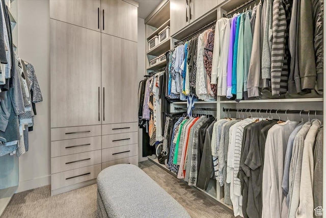 11503 N Soaring Hawk Ln, Hideout, UT 84036 - spacious closet with carpet floors