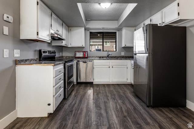 1325 S Lincoln Ave Unit 19, Ogden, UT 84404 - kitchen featuring under cabinet range hood, a tray ceiling, appliances with stainless steel finishes, white cabinets, and a sink