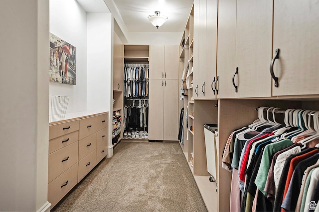 spacious closet with light colored carpet