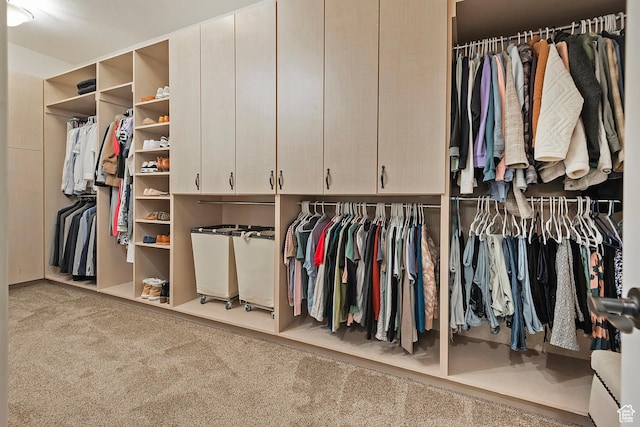 walk in closet featuring carpet flooring