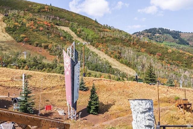 1385 Lowell Ave Unit 101, Park City, UT 84060 - property view of mountains