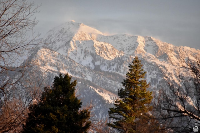 1689 E Kierstin Pl, Salt Lake City, UT 84108 - view of mountain feature