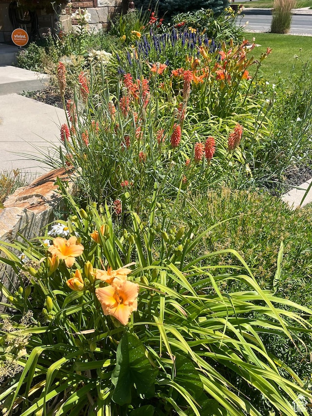1689 E Kierstin Pl, Salt Lake City, UT 84108 - view of details