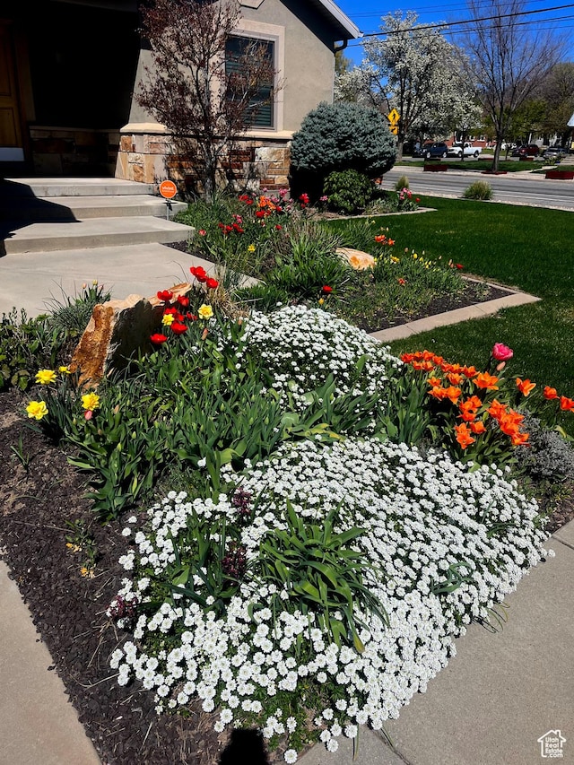1689 E Kierstin Pl, Salt Lake City, UT 84108 - view of yard