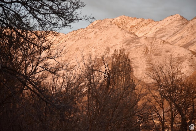1689 E Kierstin Pl, Salt Lake City, UT 84108 - property view of mountains
