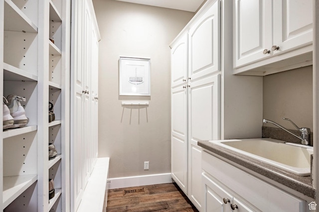 6302 Lone Rock Rd, Highland, UT 84003 - walk in closet with a sink and dark wood-style flooring