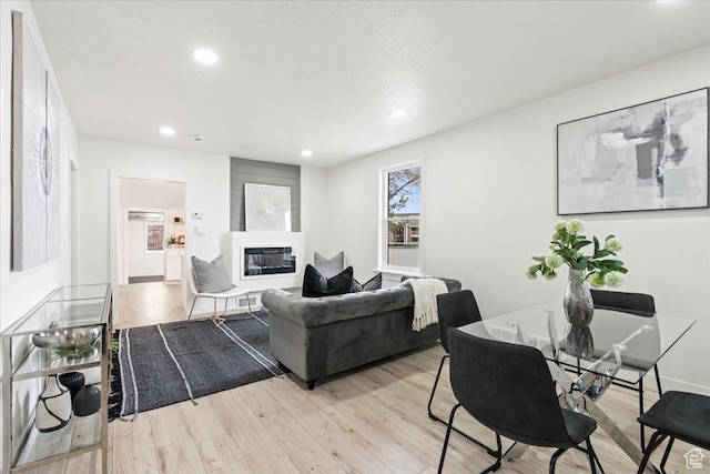 555 N 100 W, Tooele, UT 84074 - living area featuring recessed lighting, wood finished floors, and a glass covered fireplace