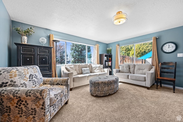 1065 E 900 S, Pleasant Grove, UT 84062 - carpeted living room with a textured ceiling and baseboards