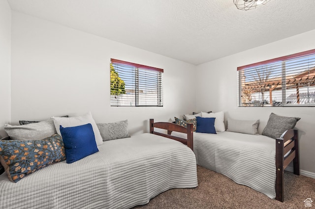 1065 E 900 S, Pleasant Grove, UT 84062 - carpeted bedroom featuring a textured ceiling