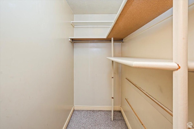 3356 W 1200 S, Ogden, UT 84404 - walk in closet with carpet floors