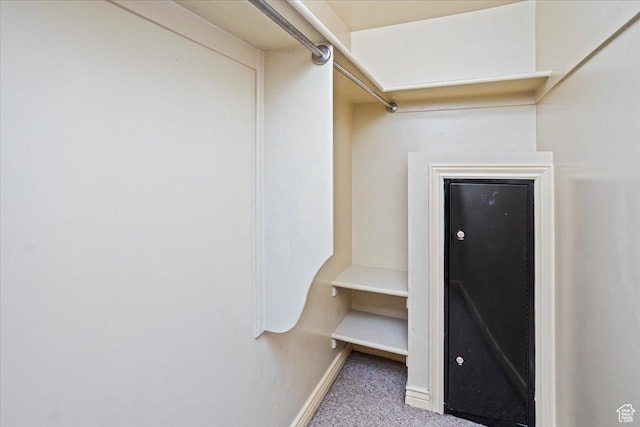 3356 W 1200 S, Ogden, UT 84404 - walk in closet featuring carpet flooring