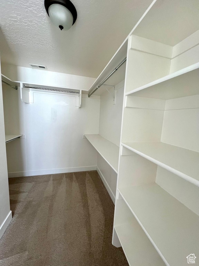 spacious closet with visible vents and carpet floors