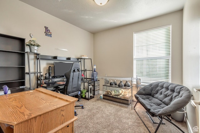 1128 S 820 E Unit 6104, Heber City, UT 84032 - office area featuring carpet flooring