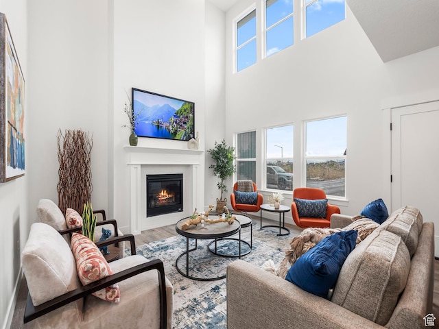 804 W 900 S, Springville, UT 84663 - living room featuring a glass covered fireplace, a high ceiling, and wood finished floors