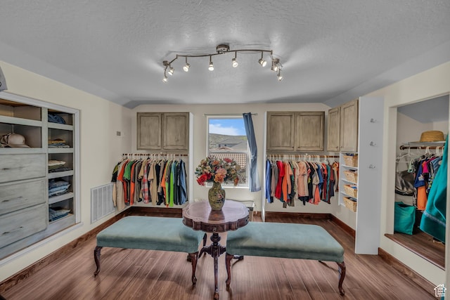 1060 E Summit Ridge Dr, St George, UT 84790 - spacious closet with dark wood-style floors and visible vents