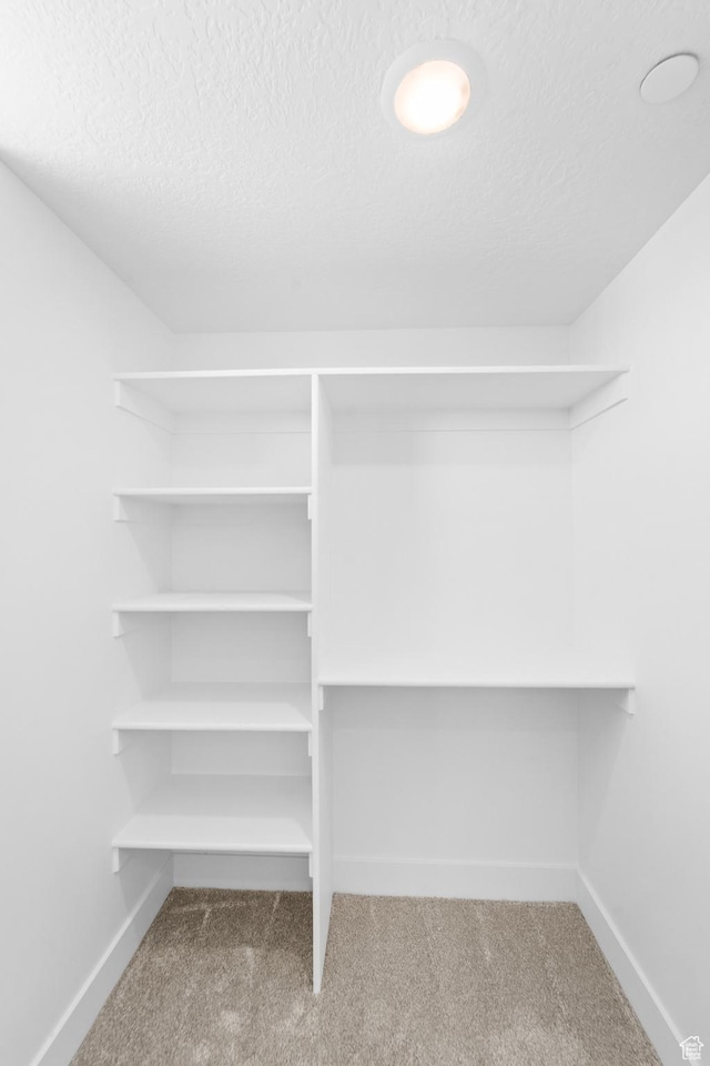 4386 S 900 E Unit 101, Millcreek, UT 84124 - spacious closet with carpet