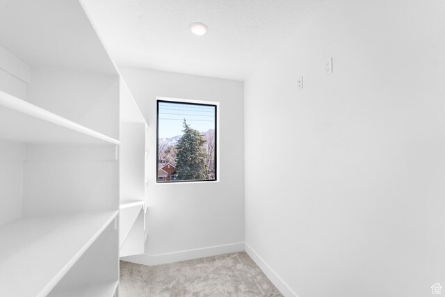 4386 S 900 E Unit 101, Millcreek, UT 84124 - walk in closet featuring carpet floors