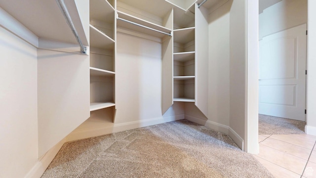 walk in closet with carpet floors