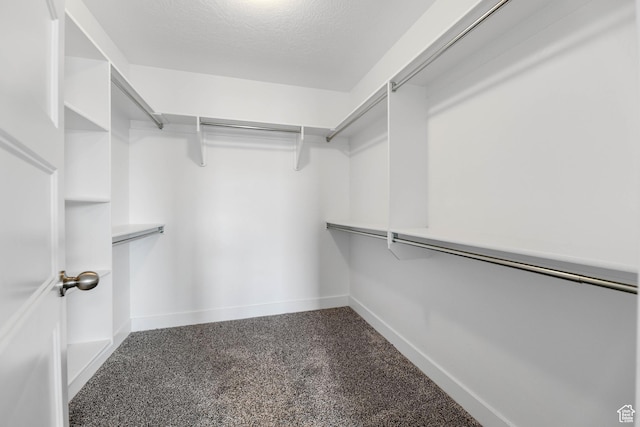 1848 E American Way Unit 2, Eagle Mountain, UT 84005 - view of spacious closet